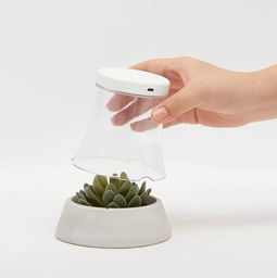 好的設計無關價格 從名創優品聯名廣美畢設看大眾美學的破圈之路